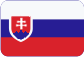 Autopůjčovna Česká republika Slovensky